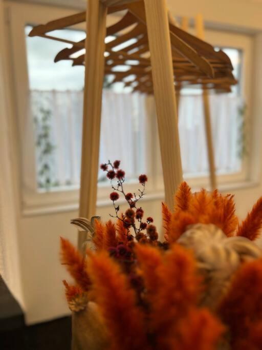 Boho Apartment Mit Aussicht Auf Gartenoase Naehe Duesseldorf Krefeld Exterior photo